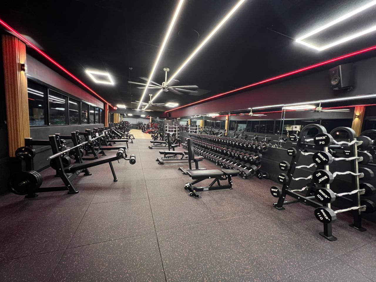 Free weights and dumbbells