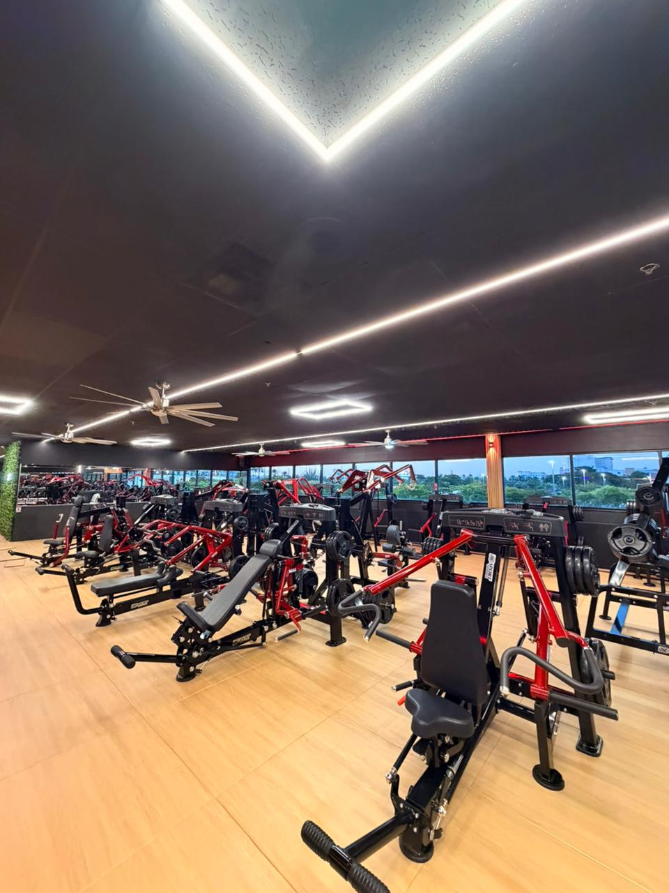 Weight training area